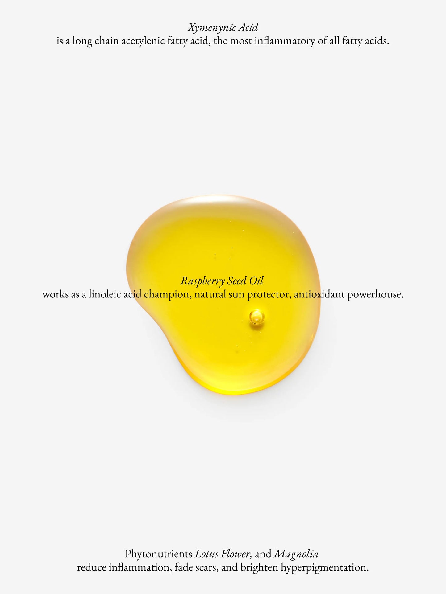 Monastery Gold Restorative Face Oil | 60mL