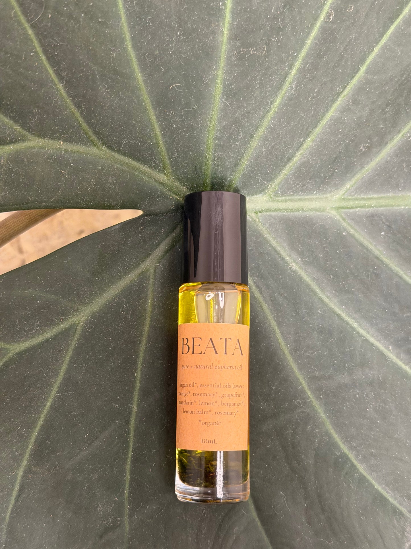 Lucid Organics x L'io Beauty: BEATA Essentail Oil Roller